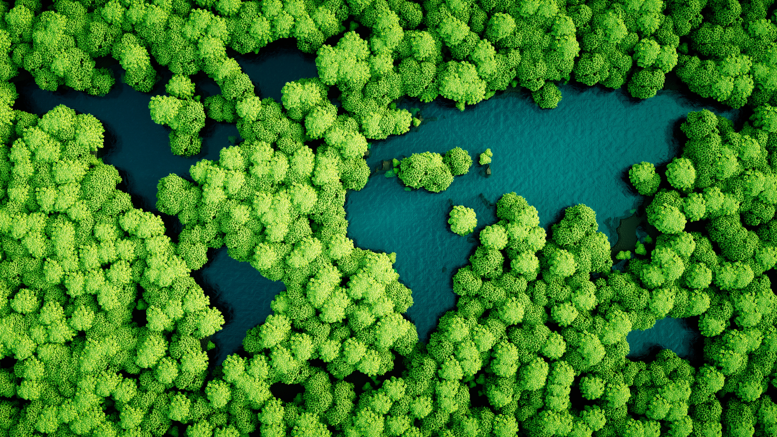 Carbon Neutrality: What It Is and How You Can Help